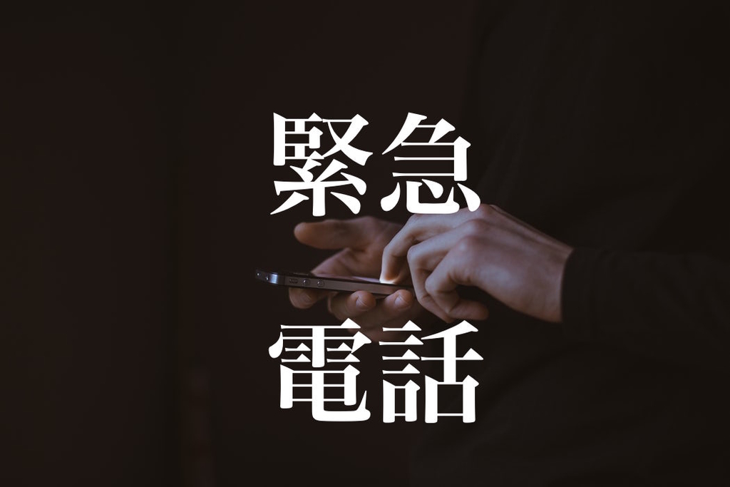 f:id:gemini-yahata:20181026152035j:plain