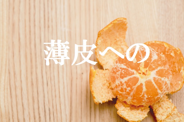 f:id:gemini-yahata:20181102224347j:plain