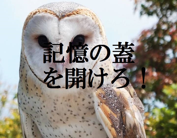 f:id:gemini-yahata:20181111163834j:plain