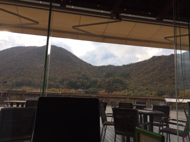 f:id:gemini-yahata:20181119162158j:plain