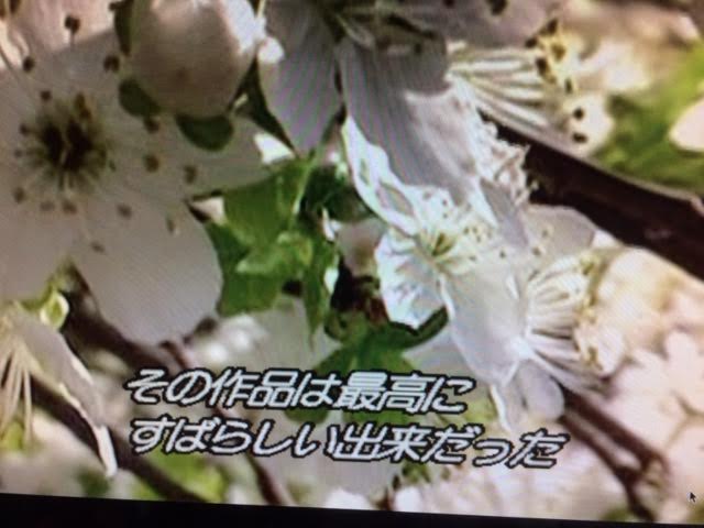 f:id:gemini-yahata:20181128161553j:plain
