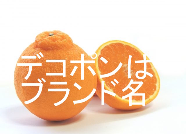 f:id:gemini-yahata:20190109164526j:plain