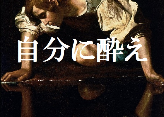 f:id:gemini-yahata:20190113103937j:plain