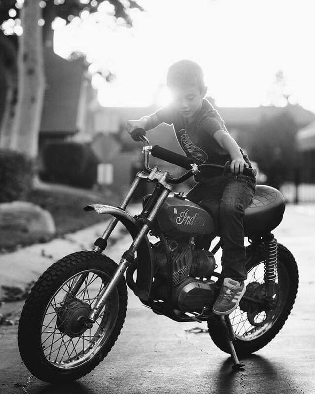 f:id:gemini-yahata:20190116140917j:plain