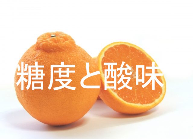 f:id:gemini-yahata:20190116151521j:plain