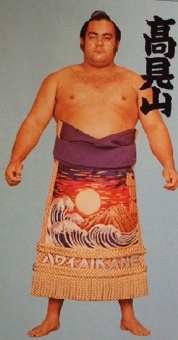 f:id:gemini-yahata:20190122001831j:plain f:id:gemini-yahata:20190122001831j:plain