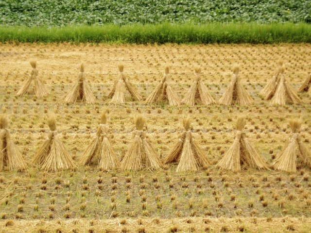 f:id:gemini-yahata:20190128195658j:plain f:id:gemini-yahata:20190128195658j:plain