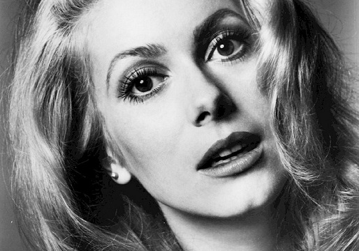 f:id:gemini-yahata:20190218183316j:plain