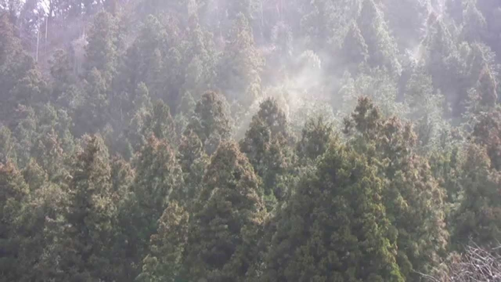 f:id:gemini-yahata:20190226182840j:plain f:id:gemini-yahata:20190226182840j:plain