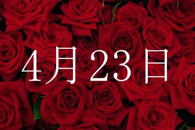 f:id:gemini-yahata:20190305164612j:plain