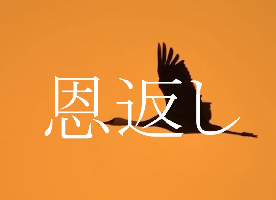 f:id:gemini-yahata:20190306171034j:plain