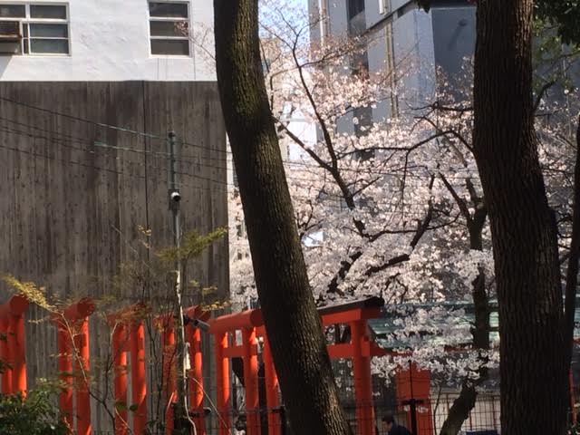 f:id:gemini-yahata:20190403163633j:plain