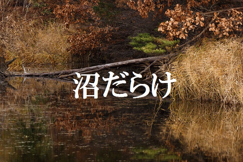 f:id:gemini-yahata:20190411234452j:plain