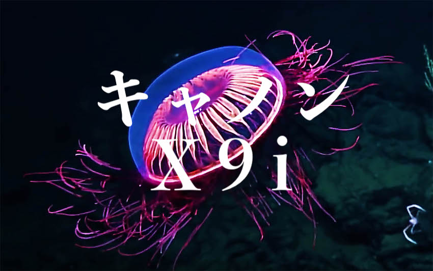 f:id:gemini-yahata:20190419101707j:plain f:id:gemini-yahata:20190419101707j:plain