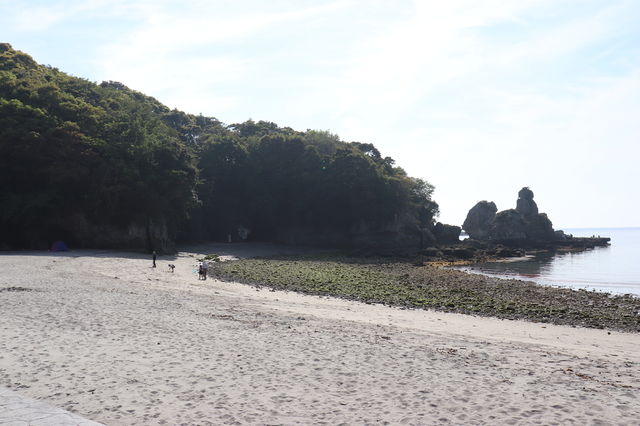 f:id:gemini-yahata:20190422080301j:plain f:id:gemini-yahata:20190422080301j:plain