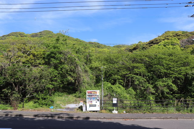 f:id:gemini-yahata:20190422082503j:plain