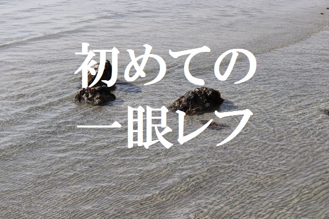 f:id:gemini-yahata:20190422082837j:plain