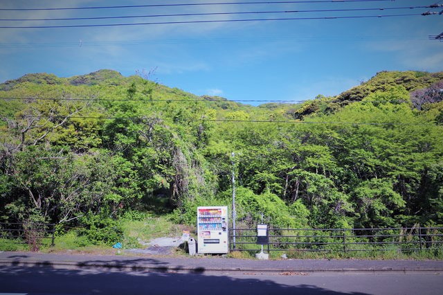f:id:gemini-yahata:20190422085534j:plain f:id:gemini-yahata:20190422085534j:plain