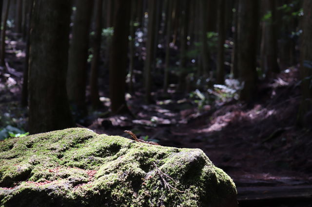 f:id:gemini-yahata:20190426013727j:plain