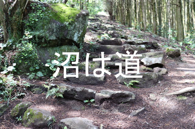 f:id:gemini-yahata:20190426141606j:plain