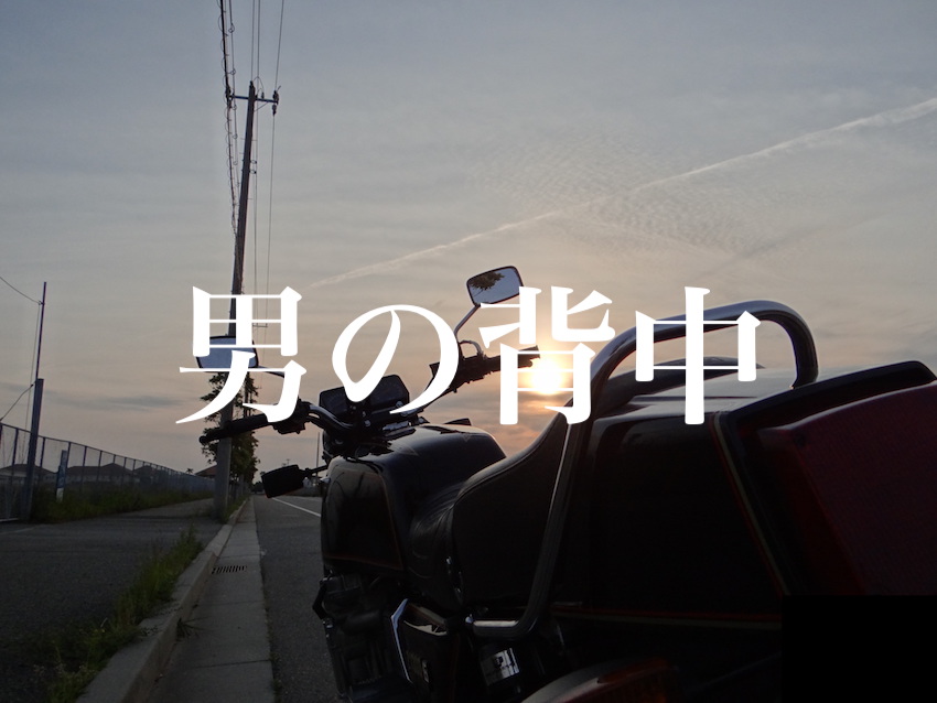 f:id:gemini-yahata:20190513232730j:plain