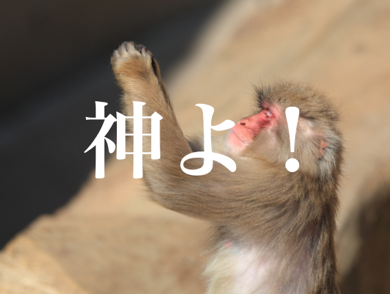 f:id:gemini-yahata:20190527121946p:plain