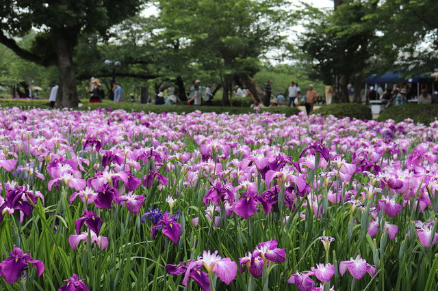 f:id:gemini-yahata:20190605162806j:plain