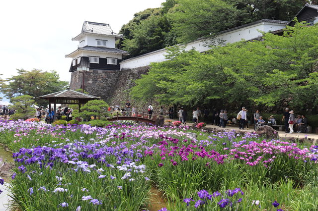 f:id:gemini-yahata:20190605162839j:plain