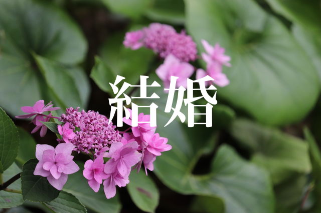 f:id:gemini-yahata:20190617113728j:plain