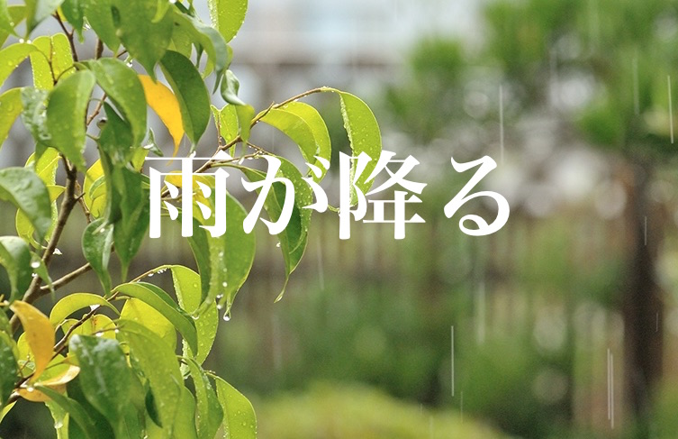f:id:gemini-yahata:20190626172426j:plain