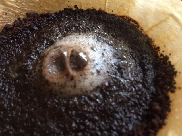 f:id:gemini-yahata:20190704211410j:plain