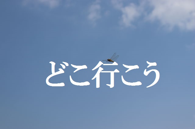 f:id:gemini-yahata:20190708234926j:plain