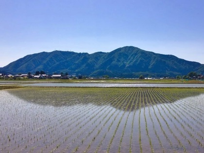 f:id:gemini-yahata:20190709000102j:plain