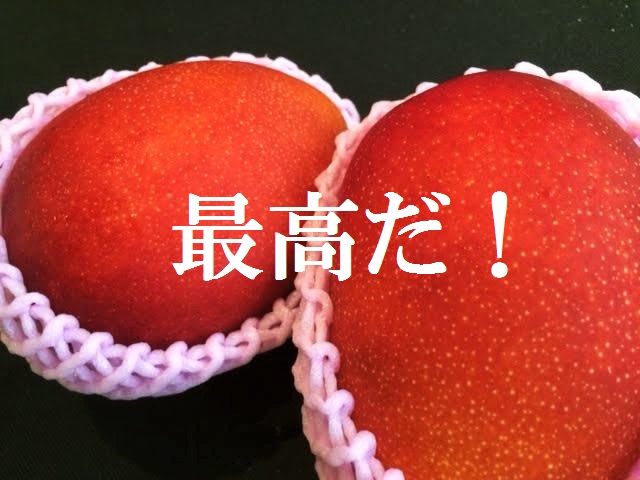 f:id:gemini-yahata:20190709150125j:plain