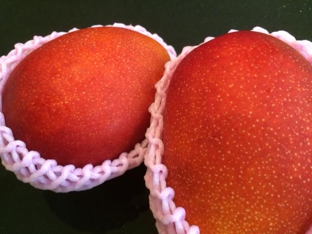 f:id:gemini-yahata:20190709151933j:plain