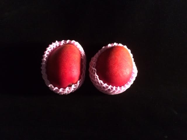 f:id:gemini-yahata:20190709152331j:plain