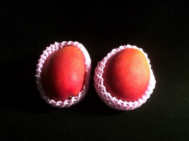 f:id:gemini-yahata:20190709152412j:plain