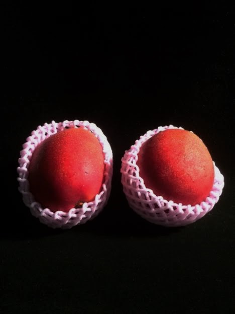 f:id:gemini-yahata:20190709152546j:plain