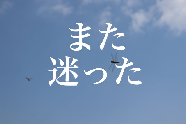 f:id:gemini-yahata:20190710095815j:plain