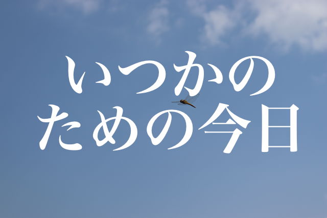 f:id:gemini-yahata:20190710160129j:plain