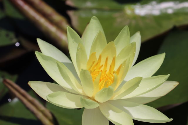 f:id:gemini-yahata:20190716234906j:plain f:id:gemini-yahata:20190716234906j:plain