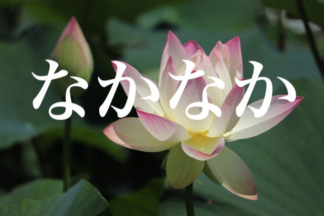 f:id:gemini-yahata:20190717000315j:plain