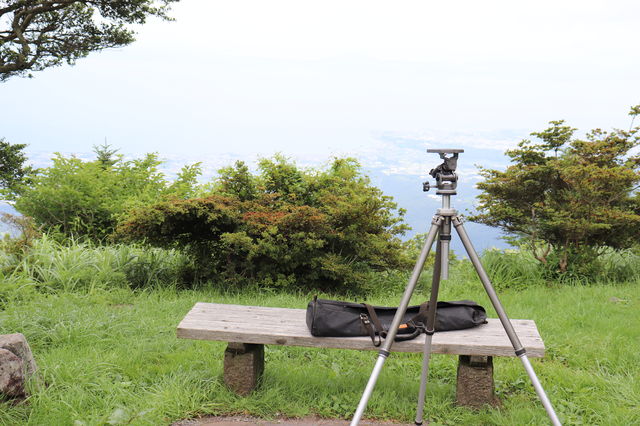 f:id:gemini-yahata:20190719233341j:plain