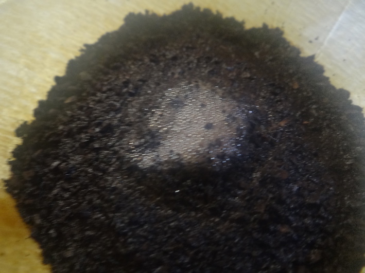 f:id:gemini-yahata:20190724221724j:plain f:id:gemini-yahata:20190724221724j:plain