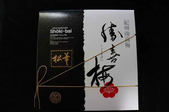 f:id:gemini-yahata:20190731114327j:plain