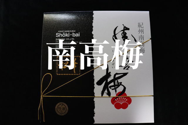 f:id:gemini-yahata:20190731114904j:plain