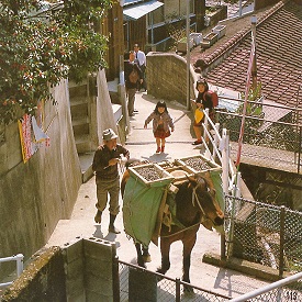 f:id:gemini-yahata:20190805110224j:plain f:id:gemini-yahata:20190805110224j:plain