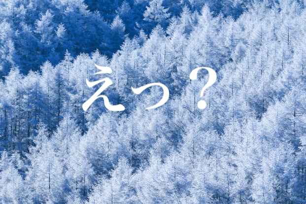 f:id:gemini-yahata:20190907111502j:plain