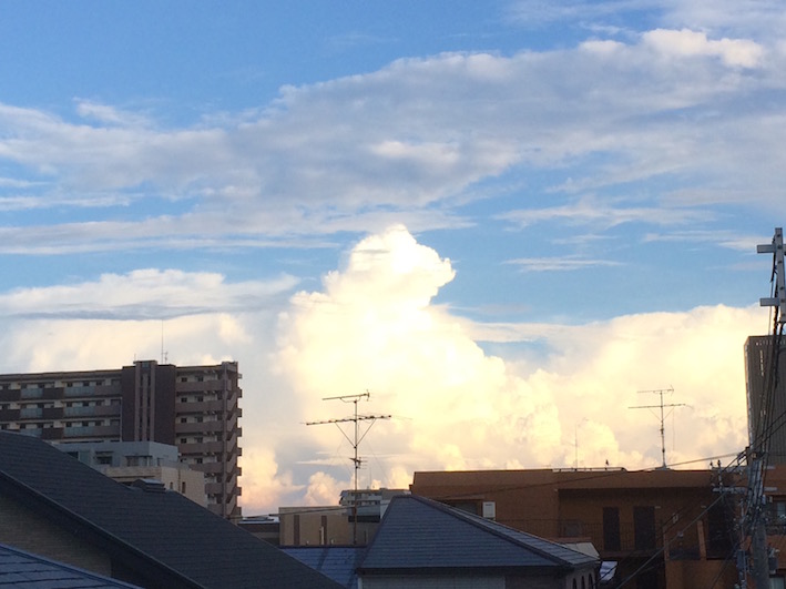 f:id:gemini-yahata:20191017141431j:plain