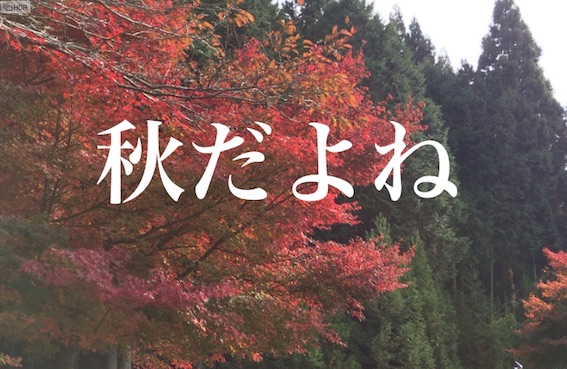 f:id:gemini-yahata:20191017152928j:plain